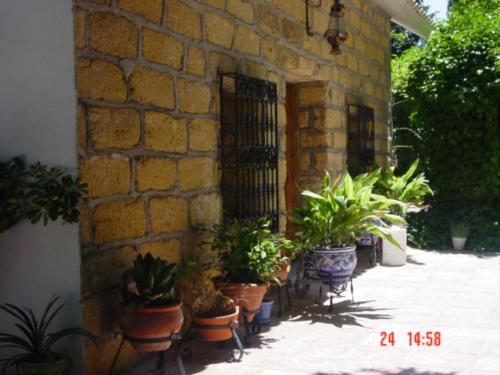 Cortijo Martos