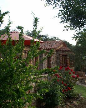 Molino Río Alájar