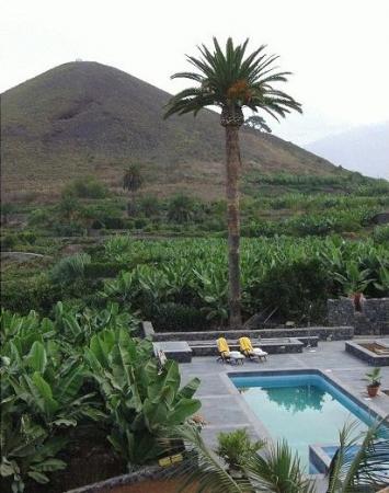 El Patio De Tita