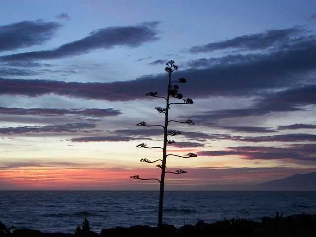 Cala Chica ***