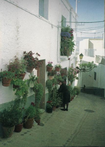Cortijo Abruvilla