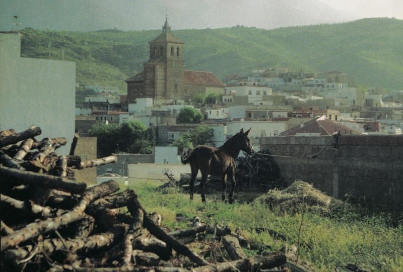 Cortijo Abruvilla