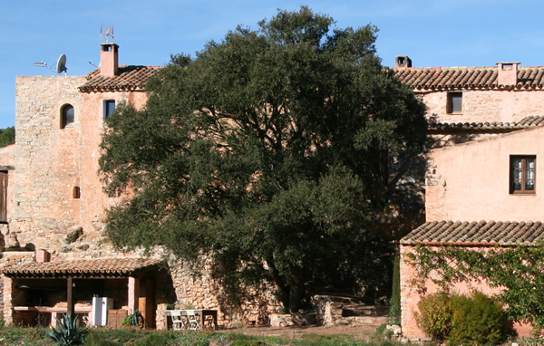 Masia Les Torres De Selma