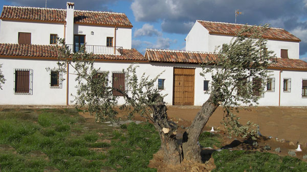 Huerta Cabañeros