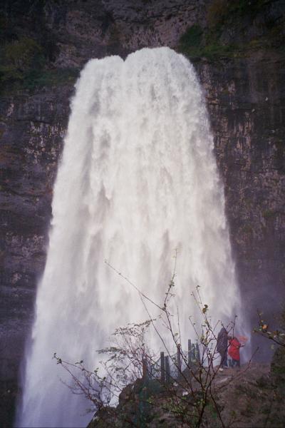 Pinares del Guadalimar
