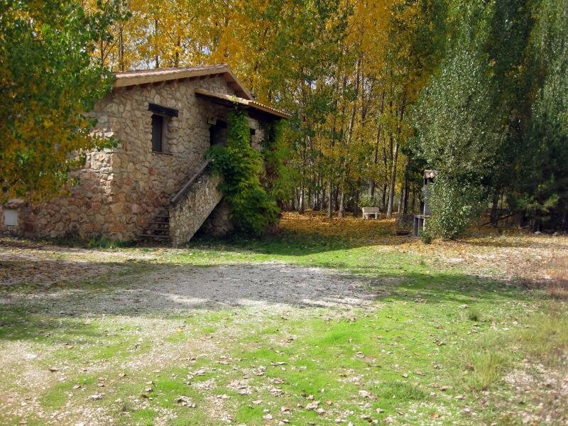 Pinares del Guadalimar