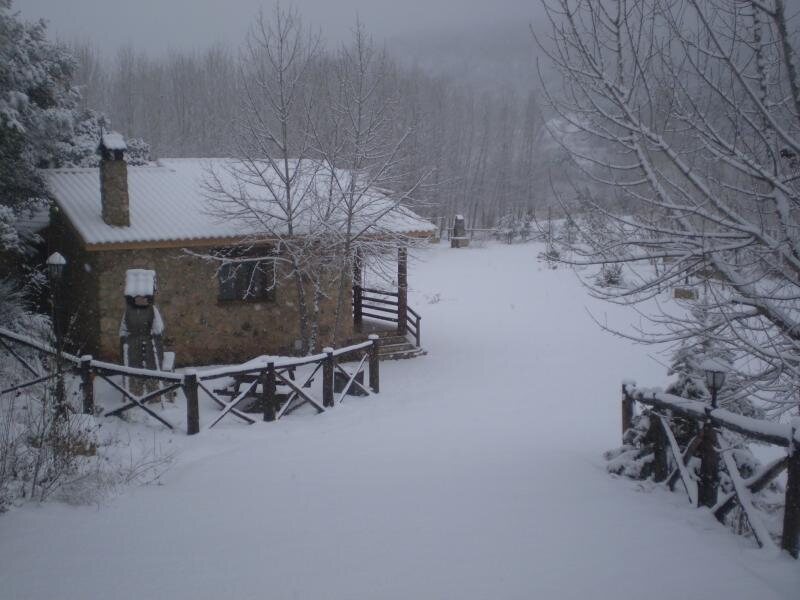Pinares del Guadalimar