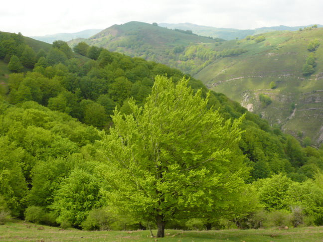 Agroturismo Mari Cruz