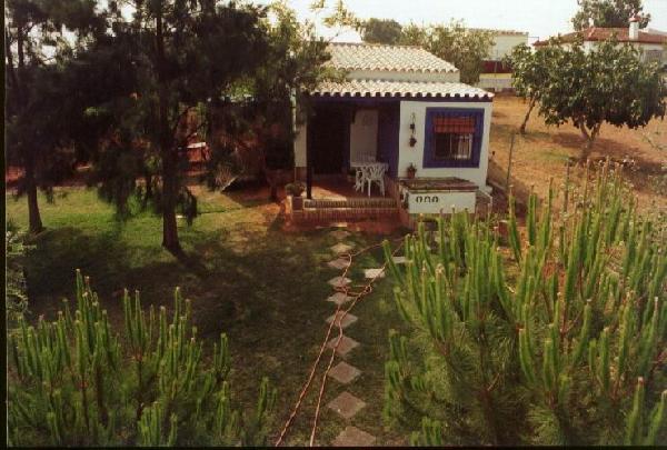 La Luciérnaga