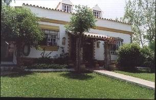 La Luciérnaga