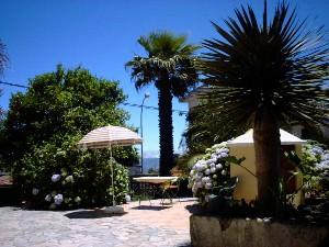 Finca Susanna