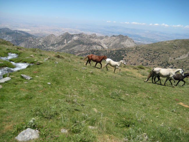 El Corral De Serafin