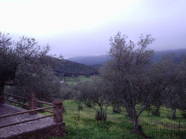 Casas Rurales Los LLanos