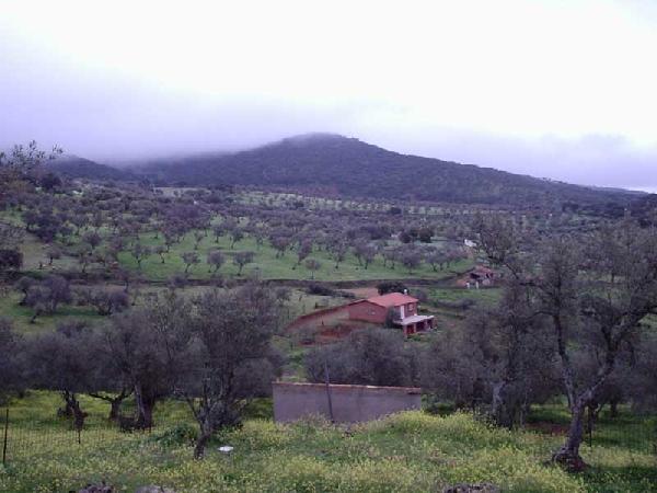 Casas Rurales Los LLanos