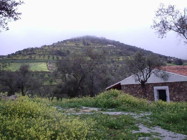 Casas Rurales Los LLanos