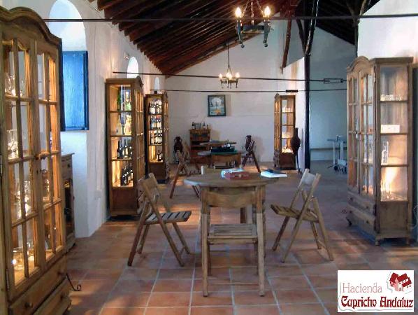 Hacienda Capricho Andaluz