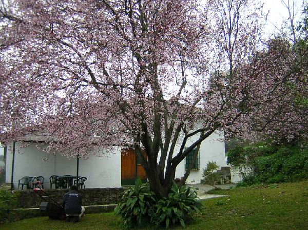 Alojamientos Rusticos La Encina