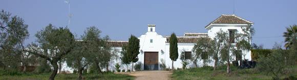 Hacienda Dos Olivos