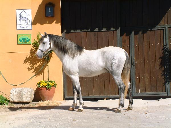Posada del Serengue