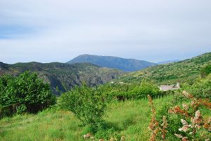 Cortijo La Loma