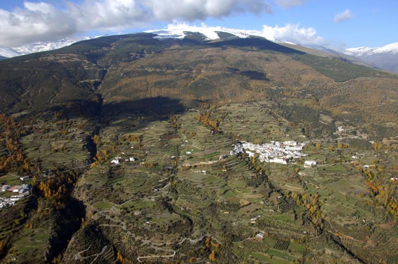 Cortijo La Loma
