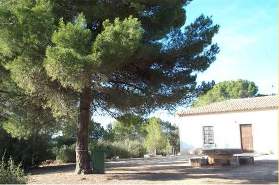 La Dehesa