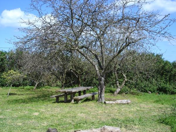 Apartamentos Rurales Ca Xuacu