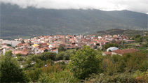 Alberjerte
