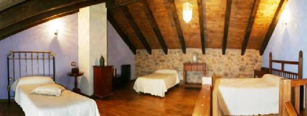 Acebos Del Tajo