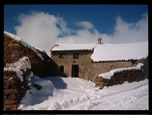La Salamandra De Gredos