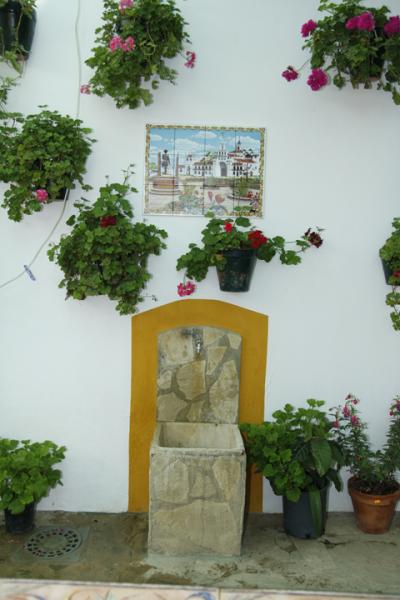 Cortijo Barrera