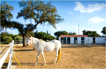 Casa Rural El Pantano