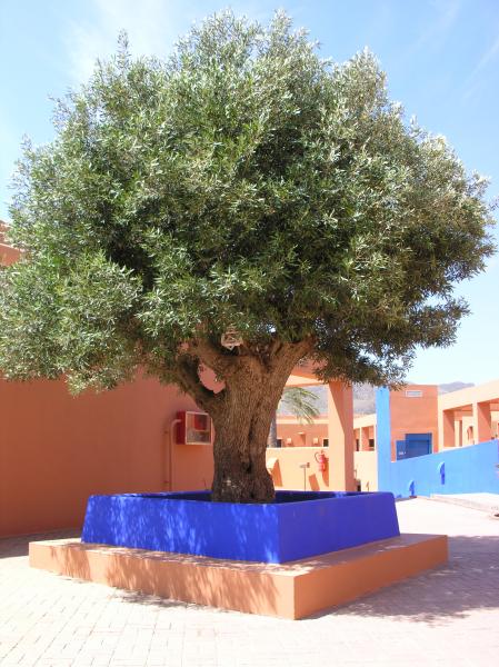 Hotel De Naturaleza Rodalquilar ****
