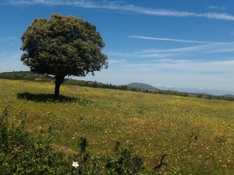 Casa Rural Del Puerto De San Vicente