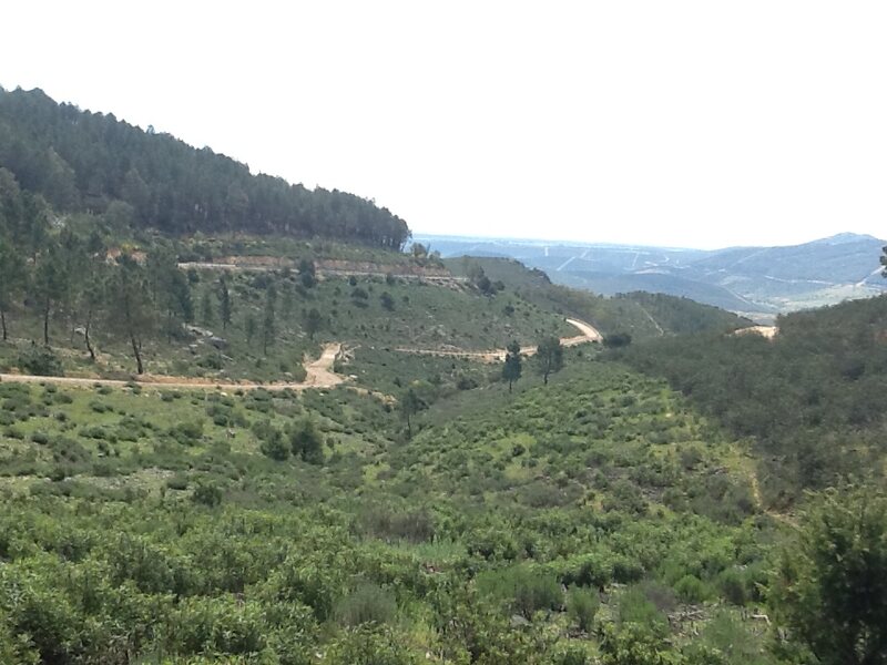 Casa Rural Del Puerto De San Vicente