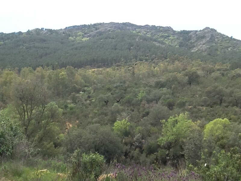 Casa Rural Del Puerto De San Vicente