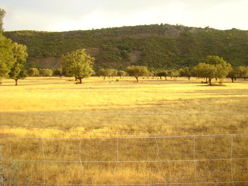 Casa Rural Del Puerto De San Vicente