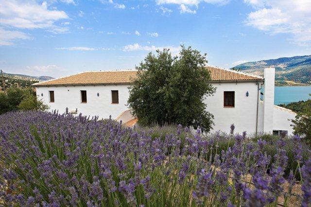 Casa Rural El Olivar