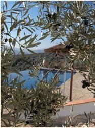 Casa Rural El Olivar
