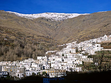 Casa Mamica Rosario