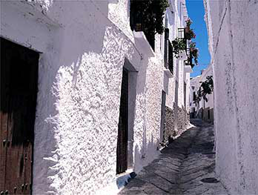 Casa Mamica Rosario