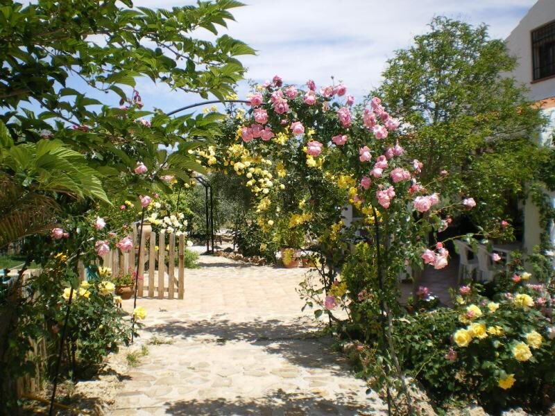 Casas Rurales Cazorla - Alcón