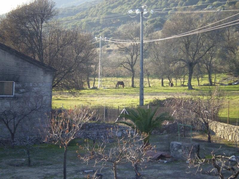 Los Caños