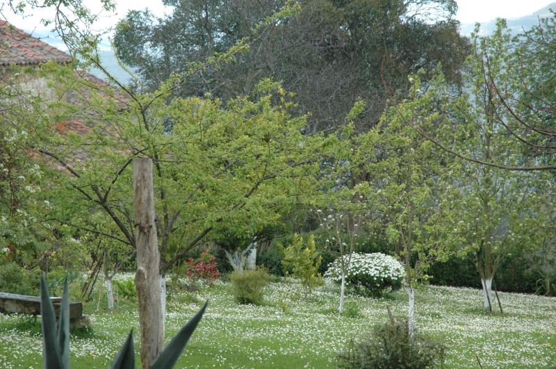 Valdedios Comarca De La Sidra