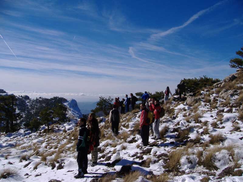 Albergue El Hornico