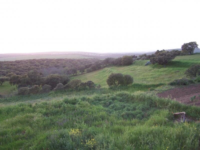 El Rincón De La Teodomira