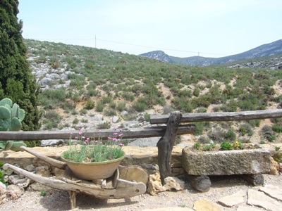 Jardin Mediterraneo - Molí Colomer