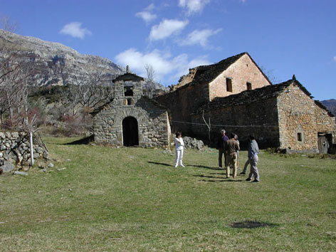 Molinias