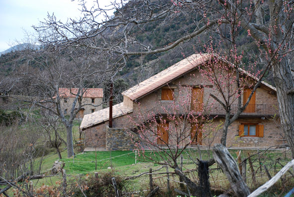 Molinias