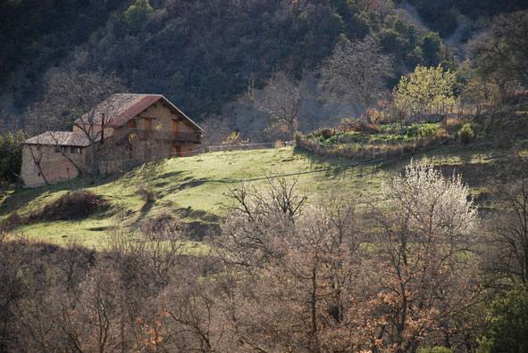 Molinias